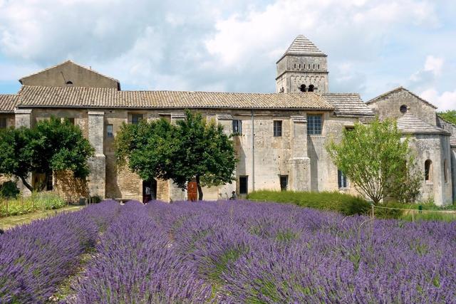 梵高鸢尾花观后感,梵高的鸢尾花是以什么为主调