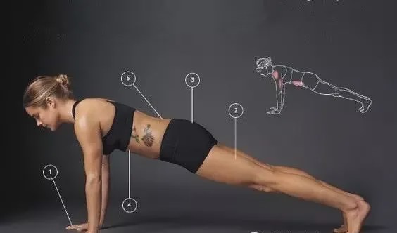 平板支撑坚持十几秒身体发抖,平板支撑坚持100天身体有啥变化