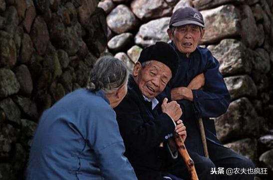 民间灶马头说年景：猪年到了，19年是几龙治水、几牛耕田？