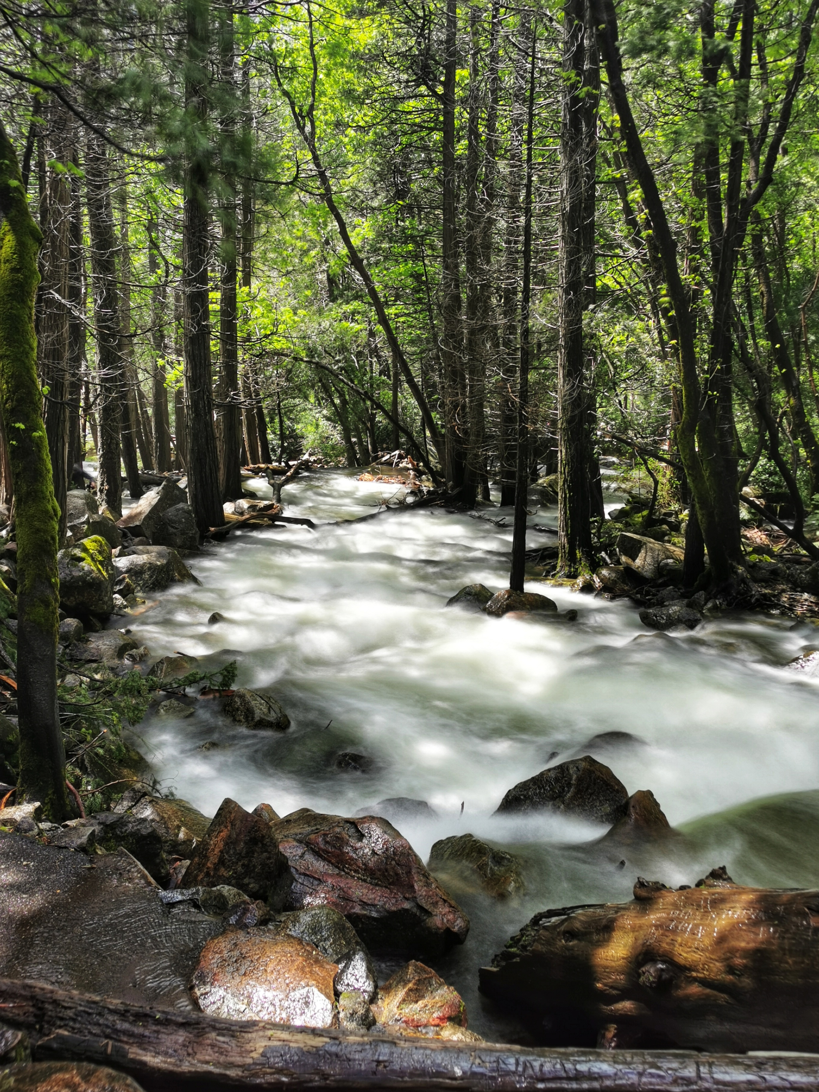 加利福尼亚优胜美地,美国旧金山优胜美地