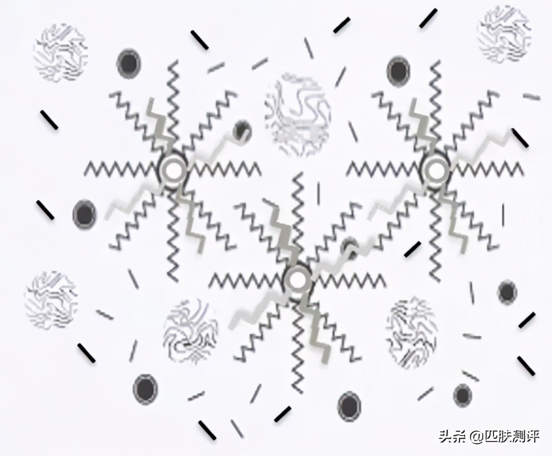 抗衰美白精华各品牌测评,防衰精华质量