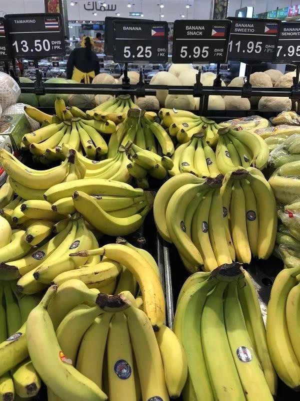 在迪拜富不富,在迪拜生活危险吗