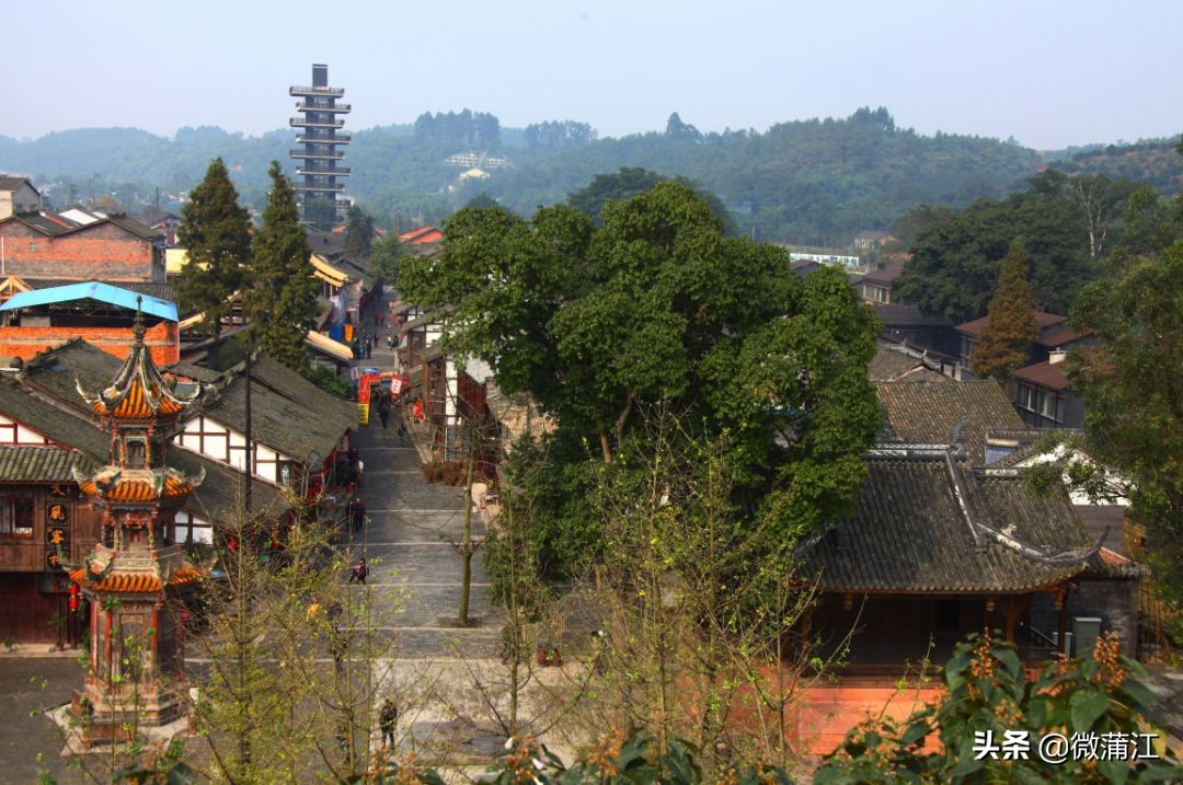 探访深山竹林倍感神清气爽,蒲江遥望雪山感受诗意栖居