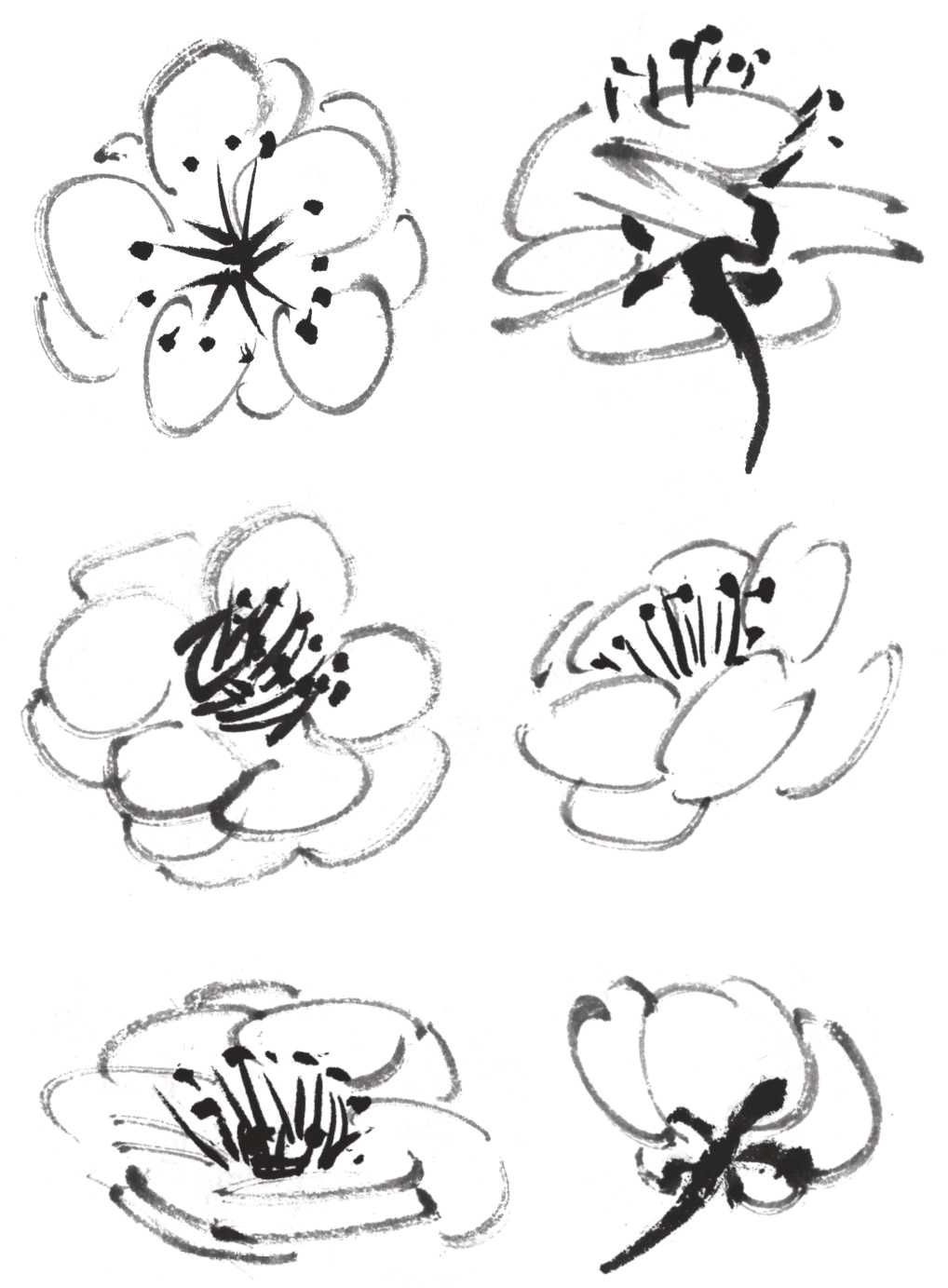 怎么画梅花和梅花树,写意画梅花的画法视频