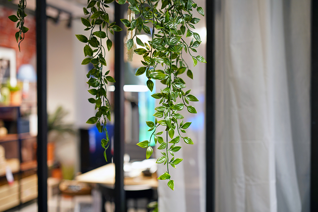 蔡司batis50-1.4镜头评测,蔡司batis镜头18-2