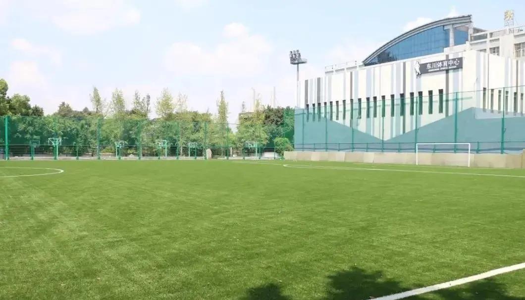 沙坪坝七中怎么样,沙坪坝重点中学