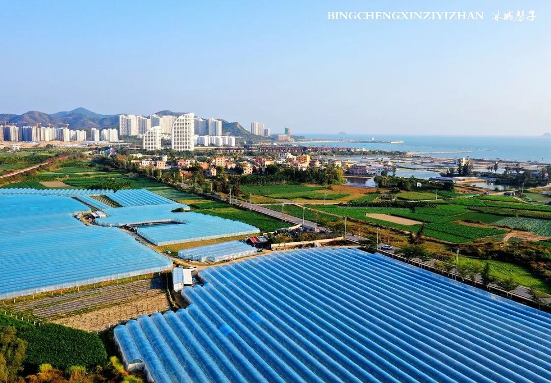 乐东九所海边康养基地,海南乐东九所景和家园