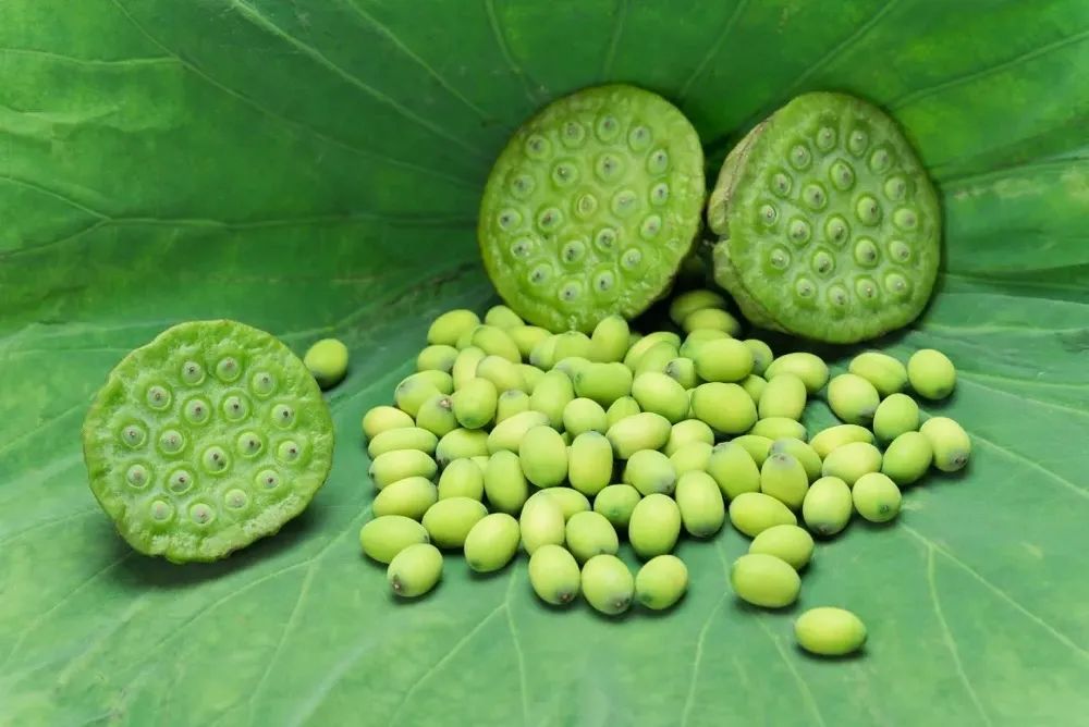 荷花的10种做法,荷花的吃法视频