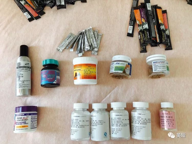 养猫干货整理,养猫必备清单之猫零食