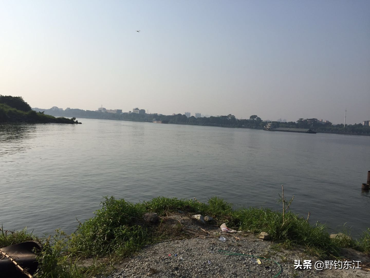 深圳大鹏野钓免费最佳地点,深圳福田野钓地点在哪里