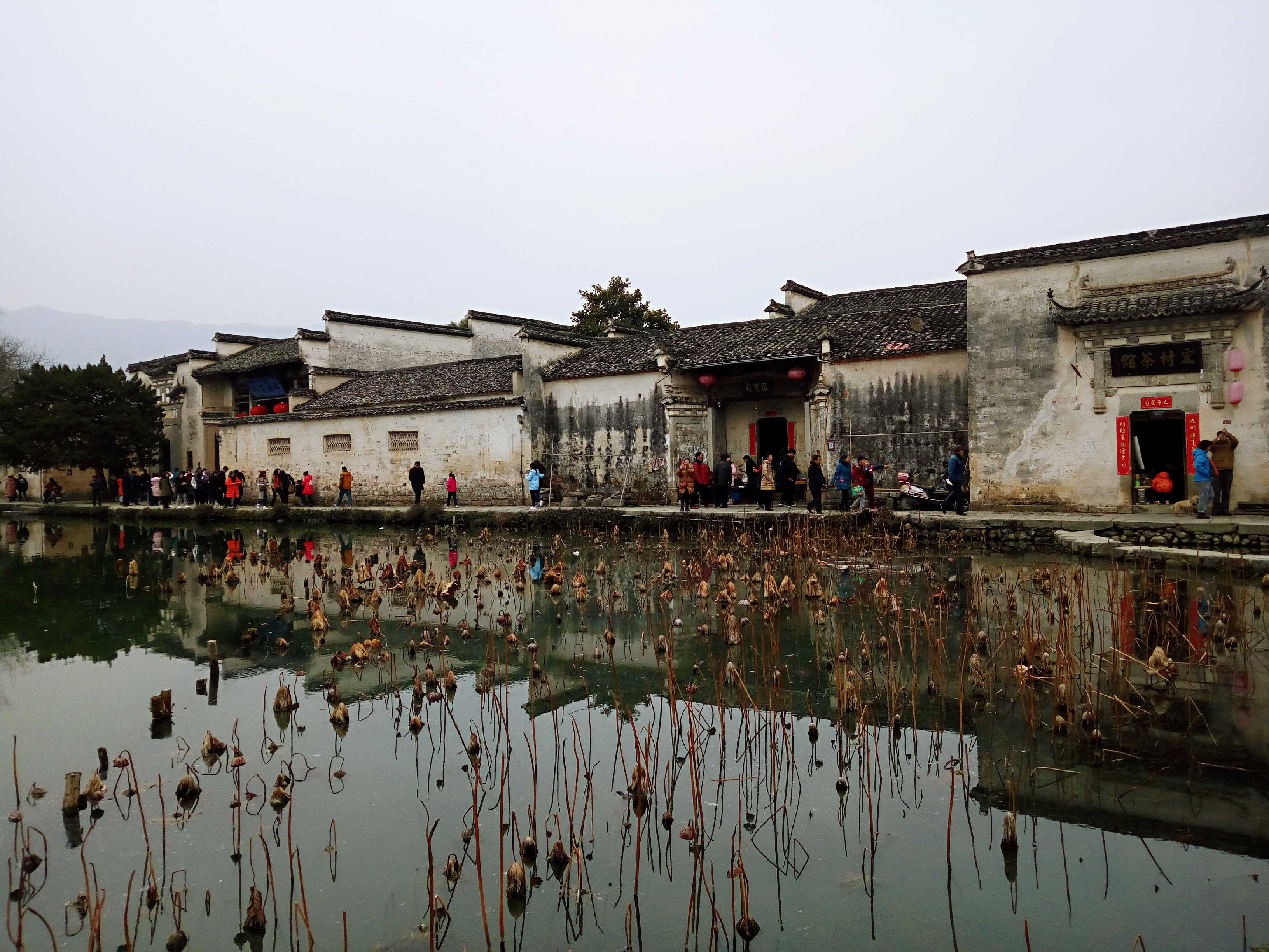 徽派村落宏村风景,山为牛头树为角的意思