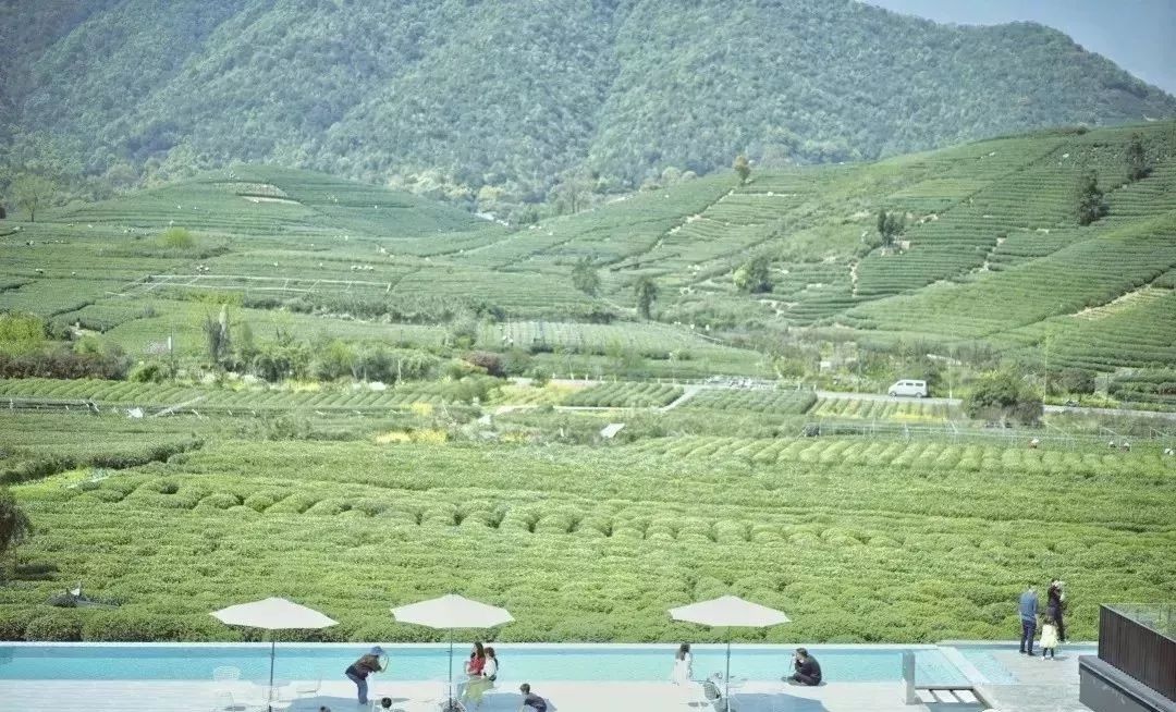杭州原研斋茶园民宿,杭州茶园民宿推荐