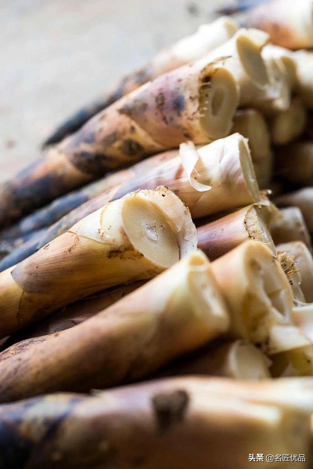 人吃的笋和大熊猫吃的笋一样吗,春笋是大熊猫吃的吗为什么