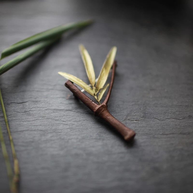 在大自然中观察的现象,在大自然中可以观察到什么