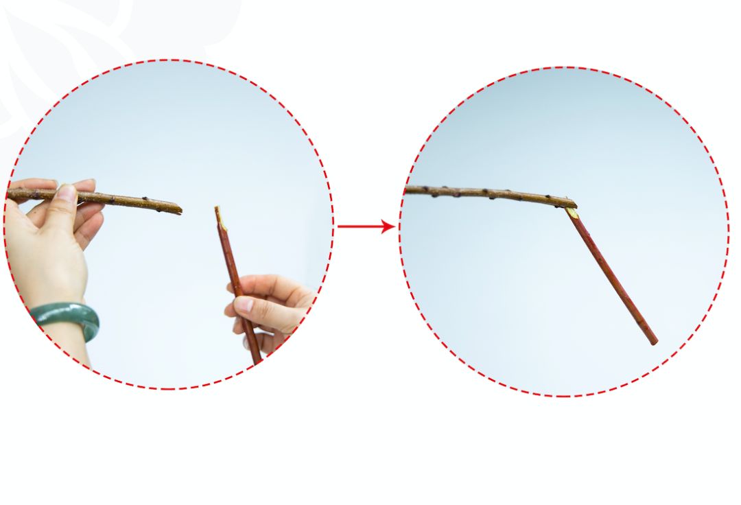 小原流旋转式插花入门知识,日式小原流直立插花图片