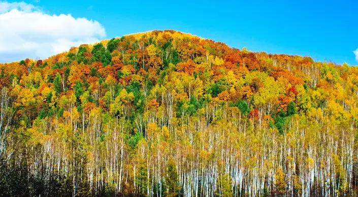 中国各省区文化符号,中国34个省的相关知识