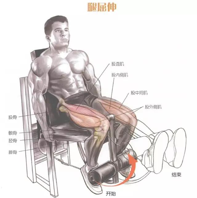 腿部前侧肌肉的训练方法,腿部核心稳定训练