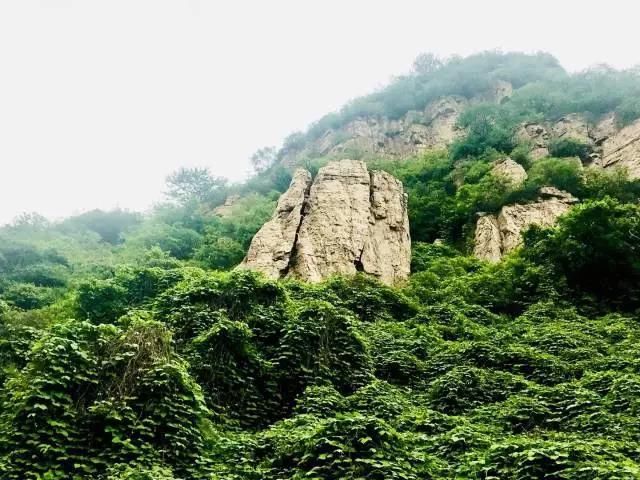 石家庄红崖谷到底值不值得去,石家庄红崖谷怎么样