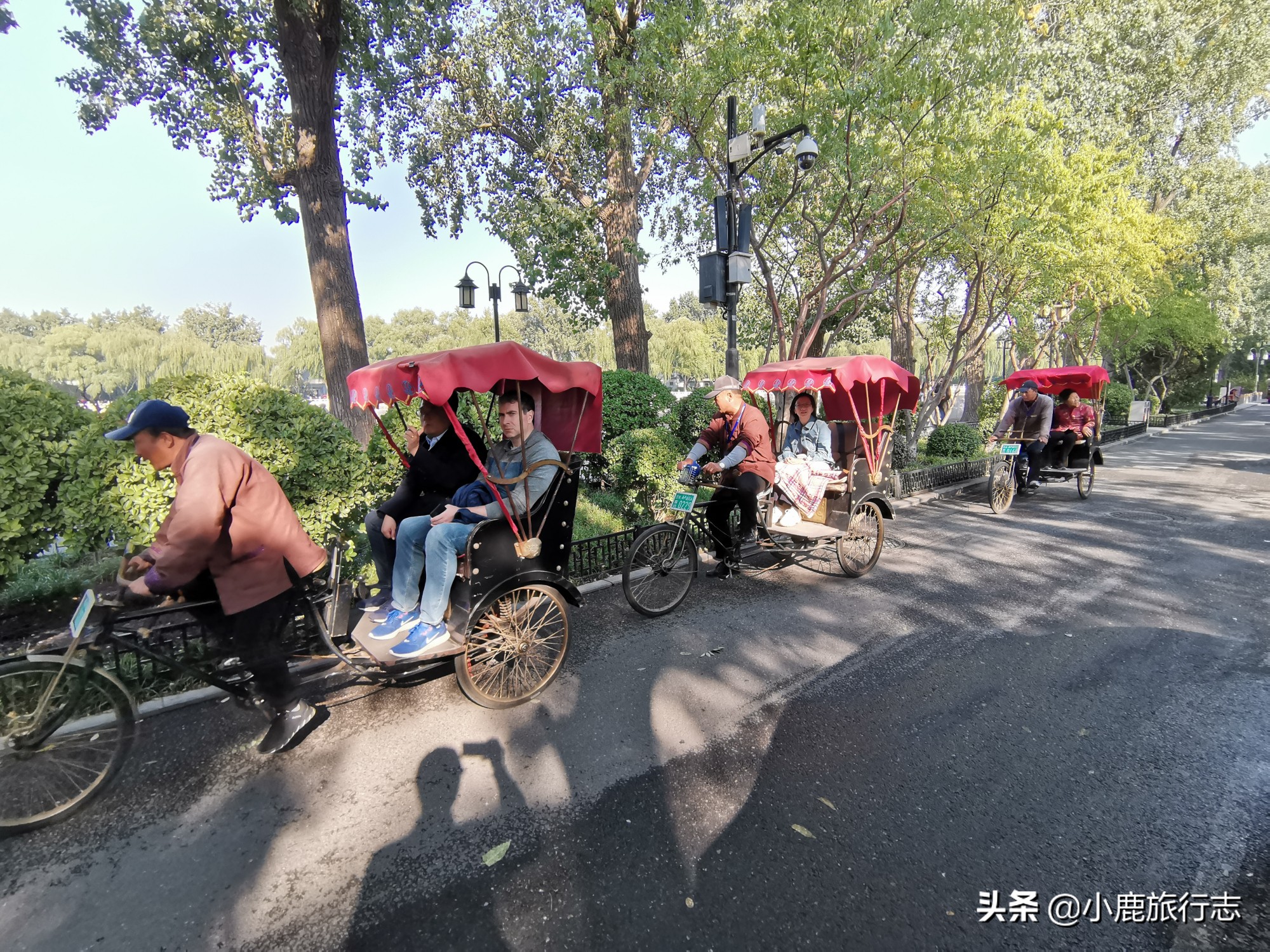 北京免费玩森林公园有哪些,北京森林公园一日游最佳攻略