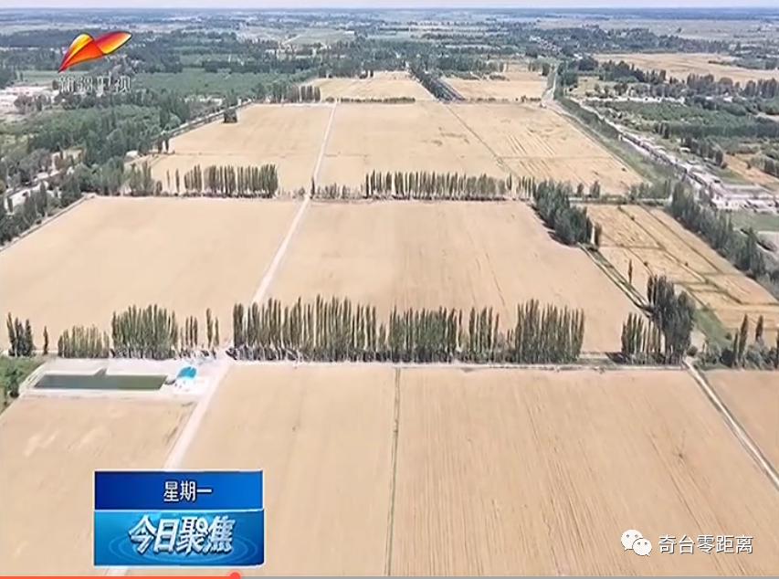 关于做好六稳六保工作的提示函,用心用情用力落实六稳六保