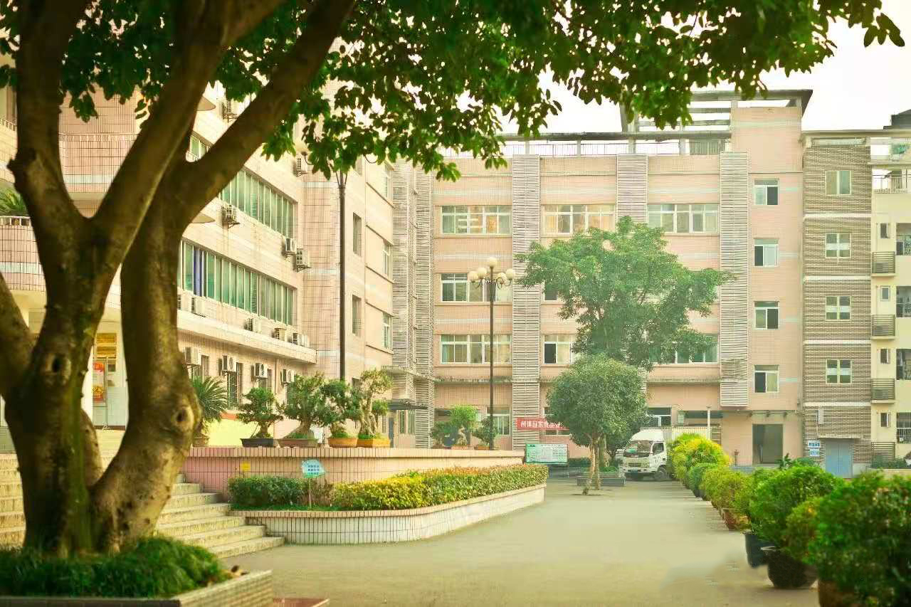 重庆哪所学校环境最好,重庆最美学校