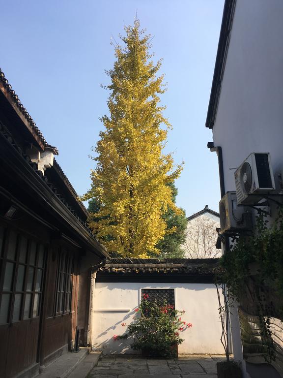 杭州民宿推荐便宜,杭州民宿推荐性价比高的四天三夜