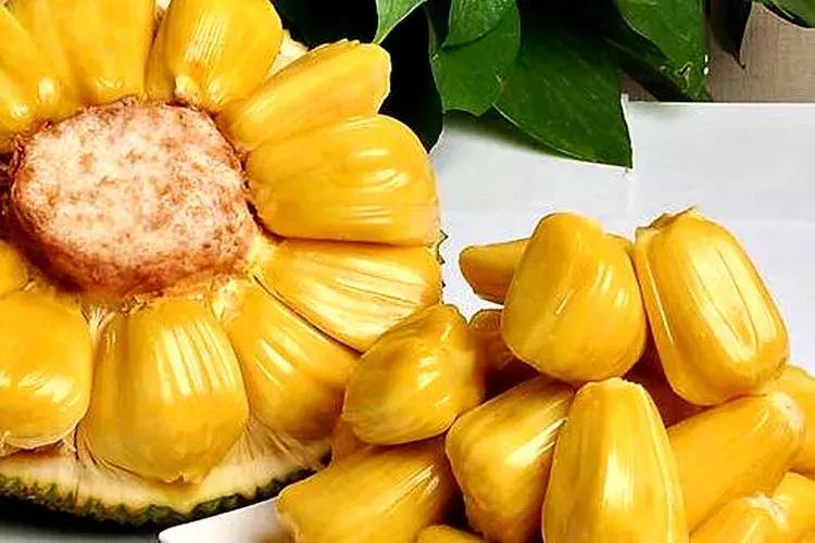 如何正确的挑选菠萝蜜 (挑选菠萝蜜以下技巧非常实用)