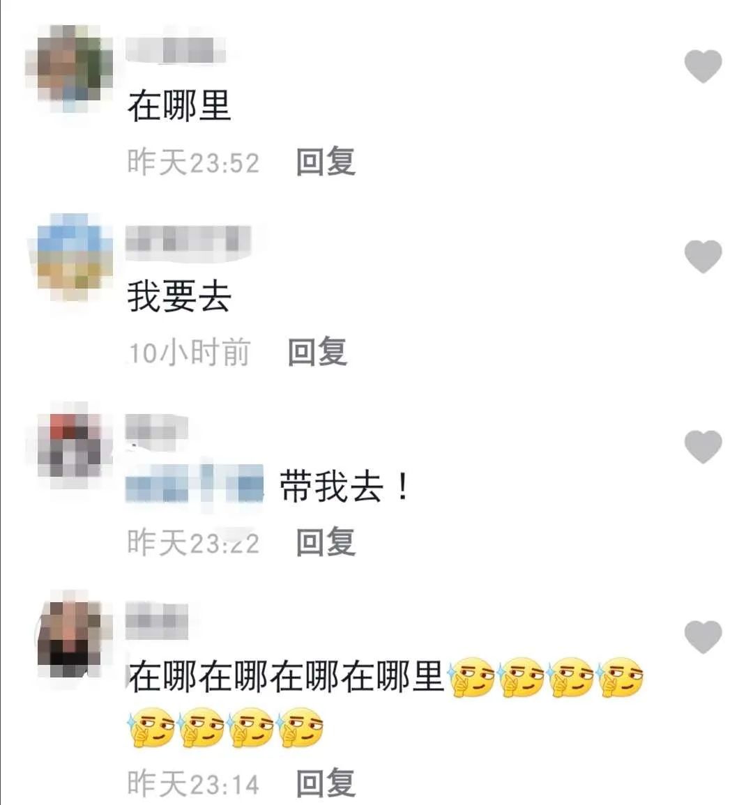 凤凰桥树莓采摘,春天到树莓采摘