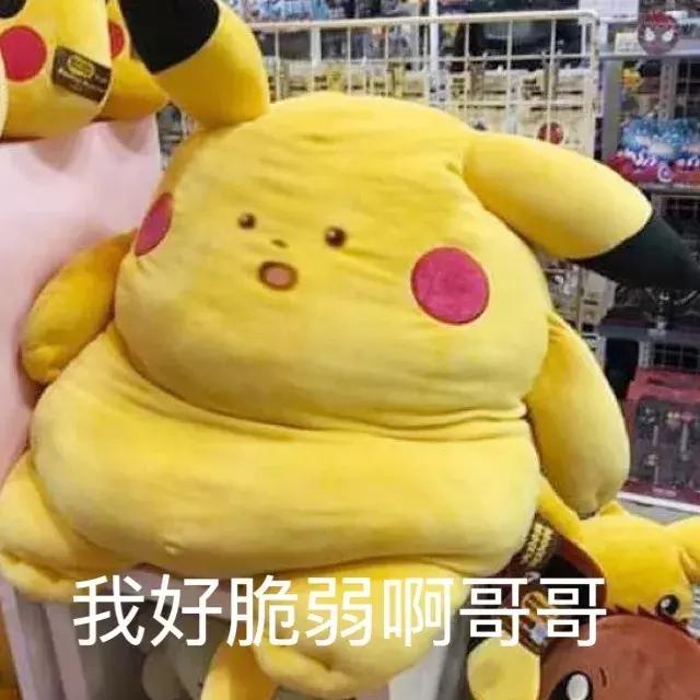 售价2000起，这些被误会多年“国际大牌”实际都是广州产伪洋货