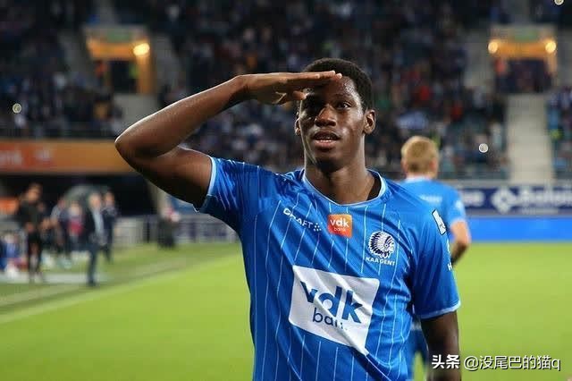 亚洲球员五大联赛进球排行榜,五大联赛单赛季进球最多的球员