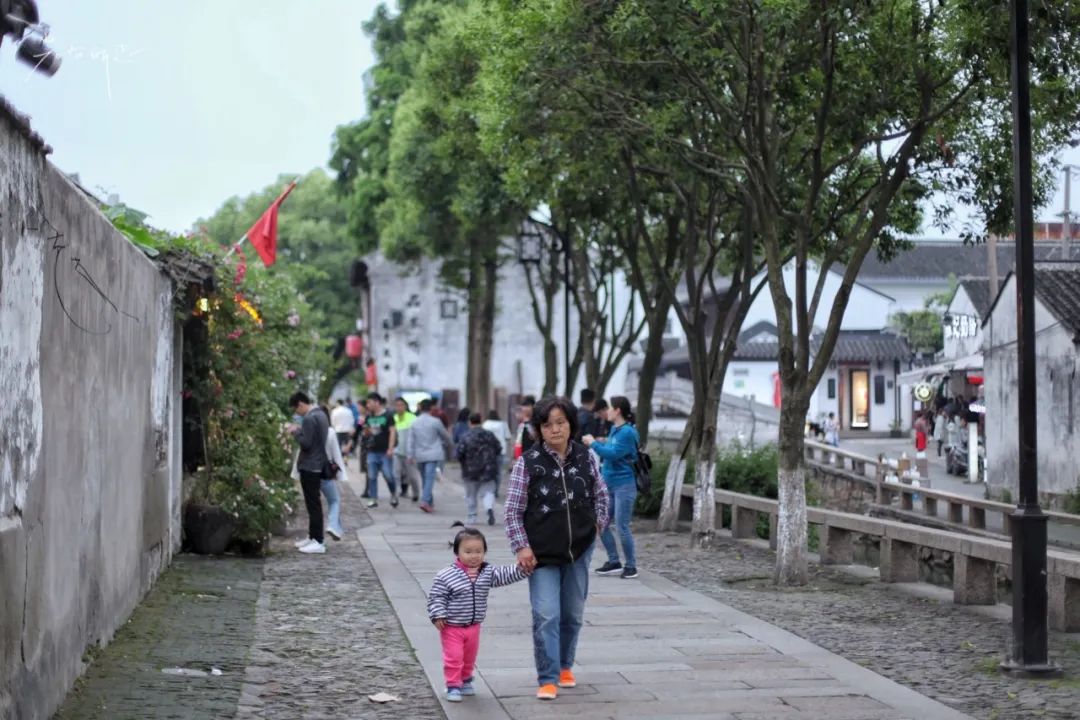 苏州是gdp第一的城市吗,苏州市区gdp和无锡gdp对比