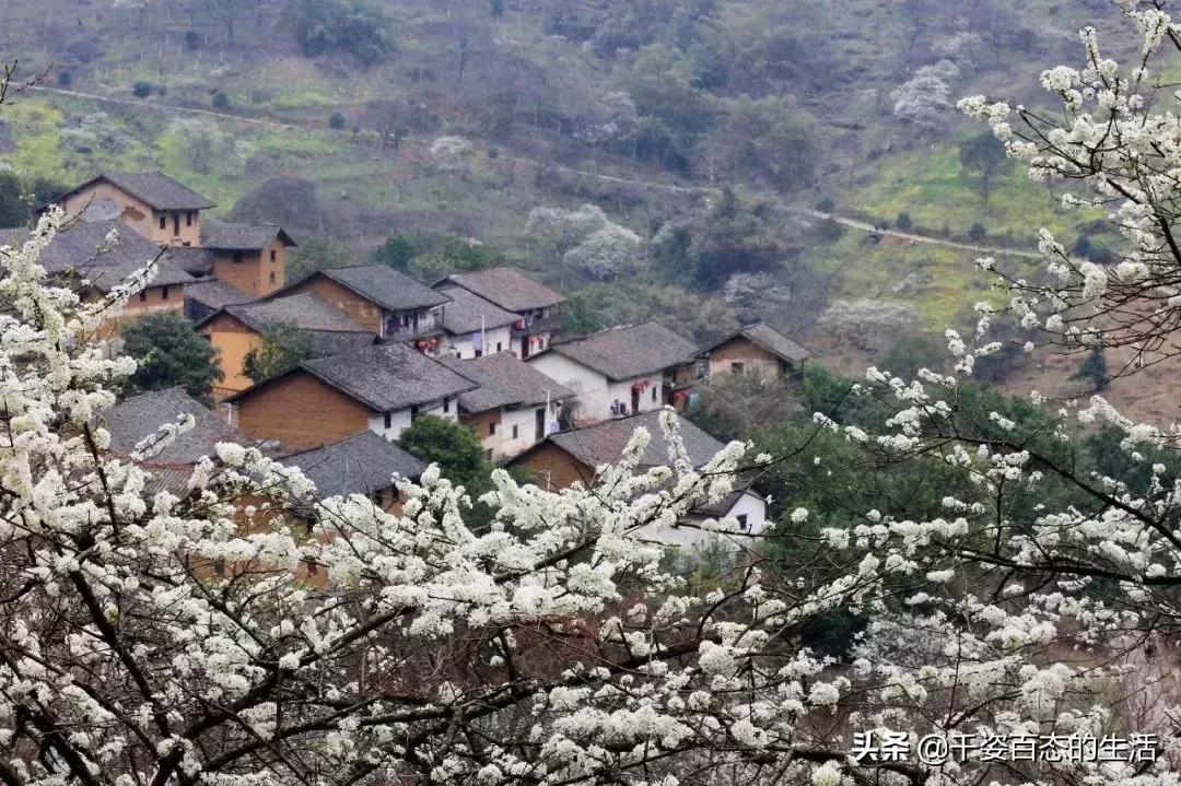 广西低调小城竟然藏了个小奈良,广西有座低调的养老小城