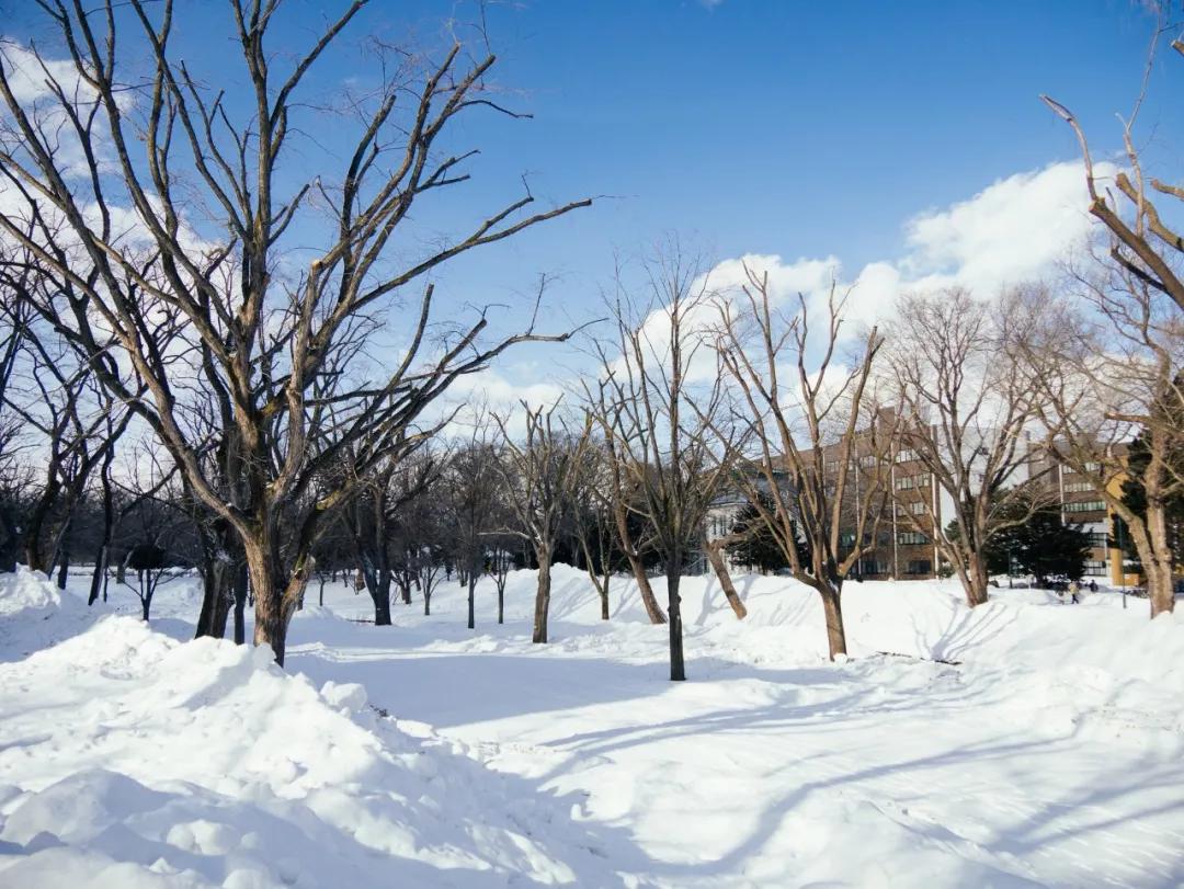 一条让你经历四季的旅游线路,一条绝美自驾游路线图