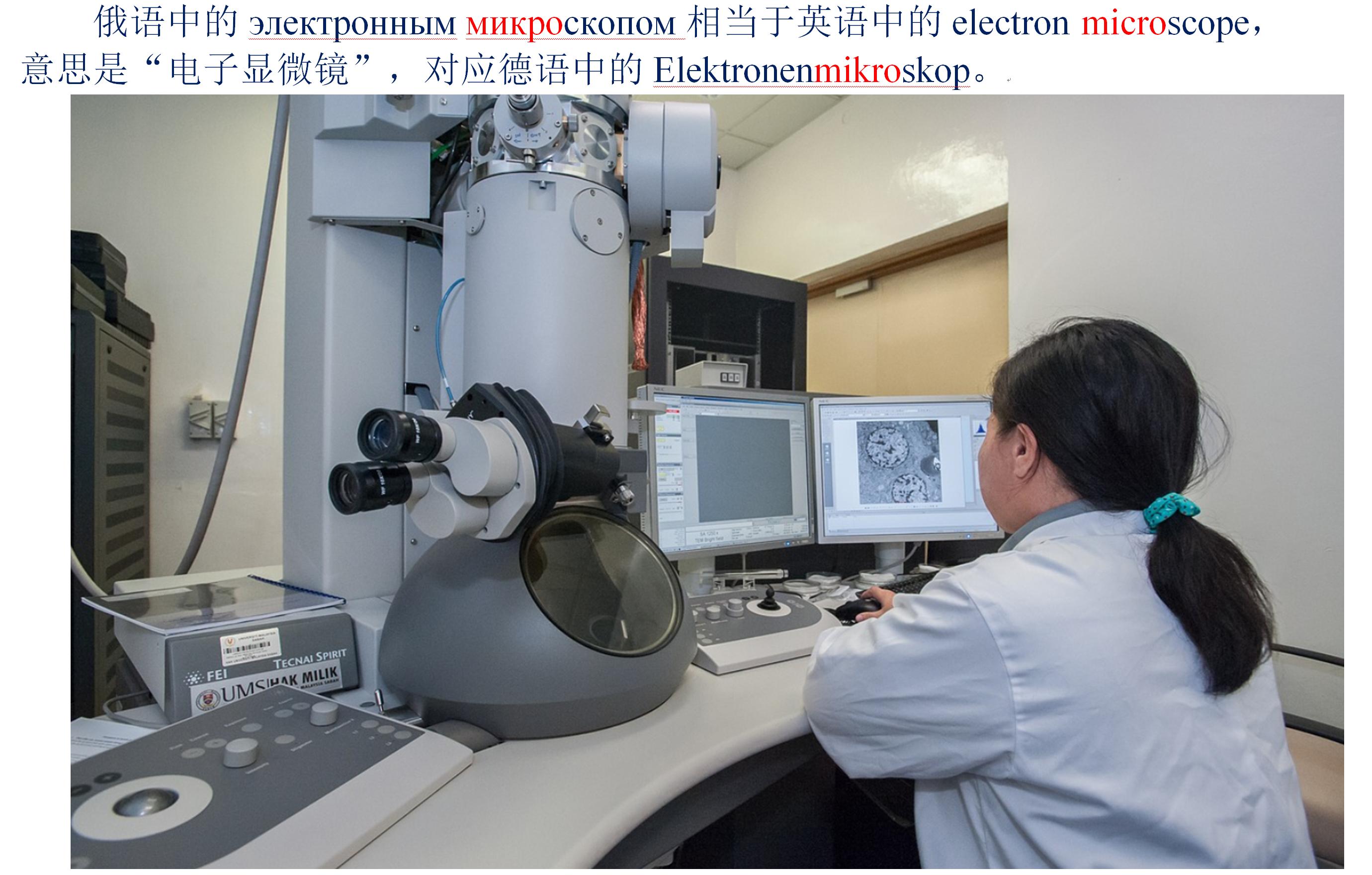 认识英文字母单词视频,insect英语单词快速记忆