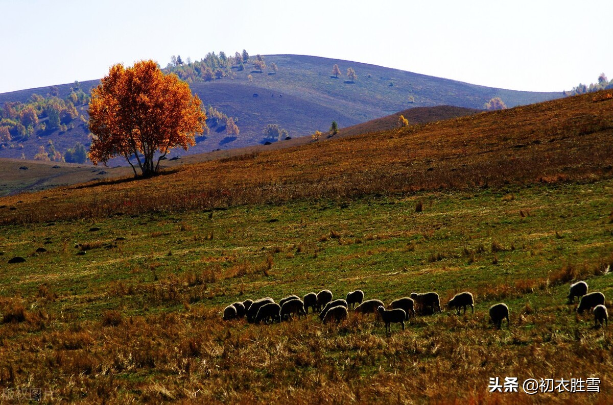 纳兰性德三首海棠词,纳兰性德最豁达潇洒的诗