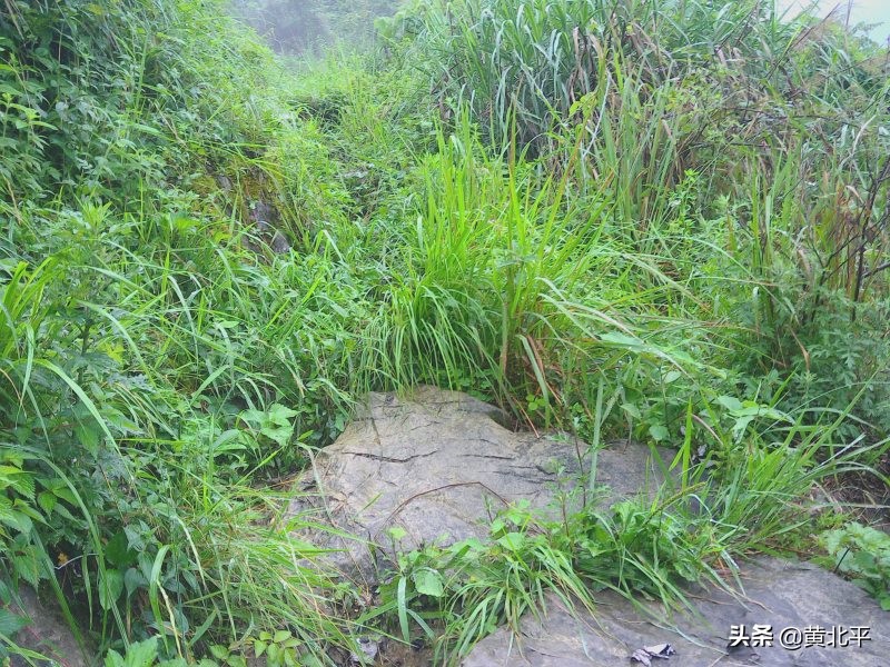 正安县何家山古道,贵州遵义安场古道