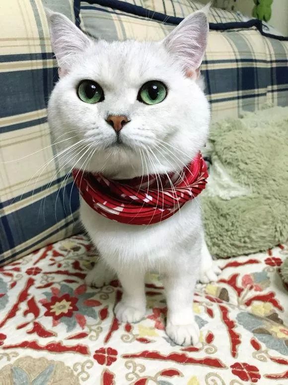 新车方向盘右偏怎么回事,新车方向盘偏左