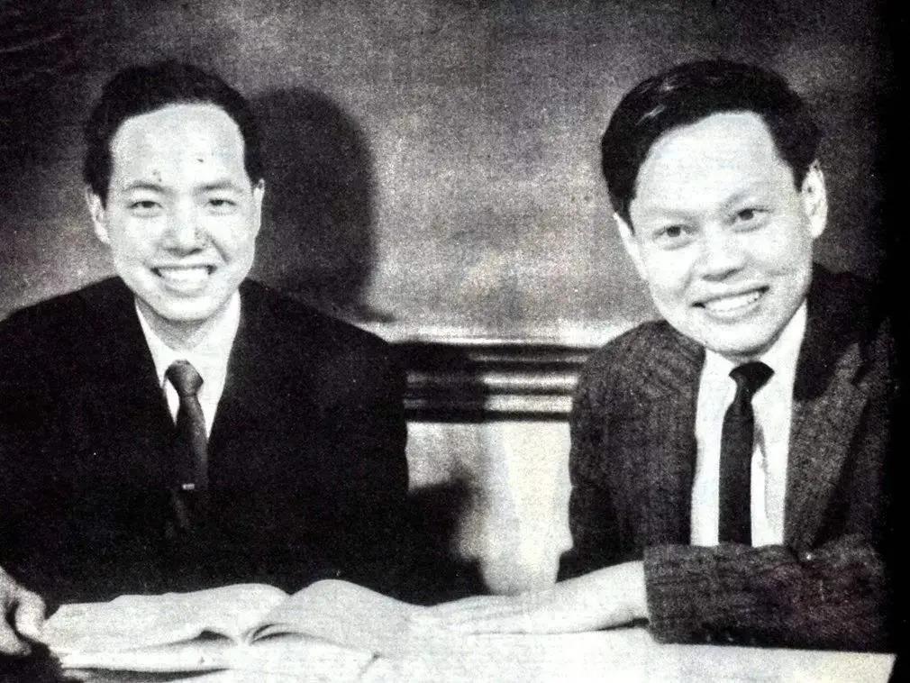 杨振宁与爱因斯坦交流过吗,杨振宁多大和爱因斯坦交谈的