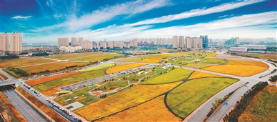 「飞阅大沈阳」瞰沈北：金秋赏美景沈北欢迎你