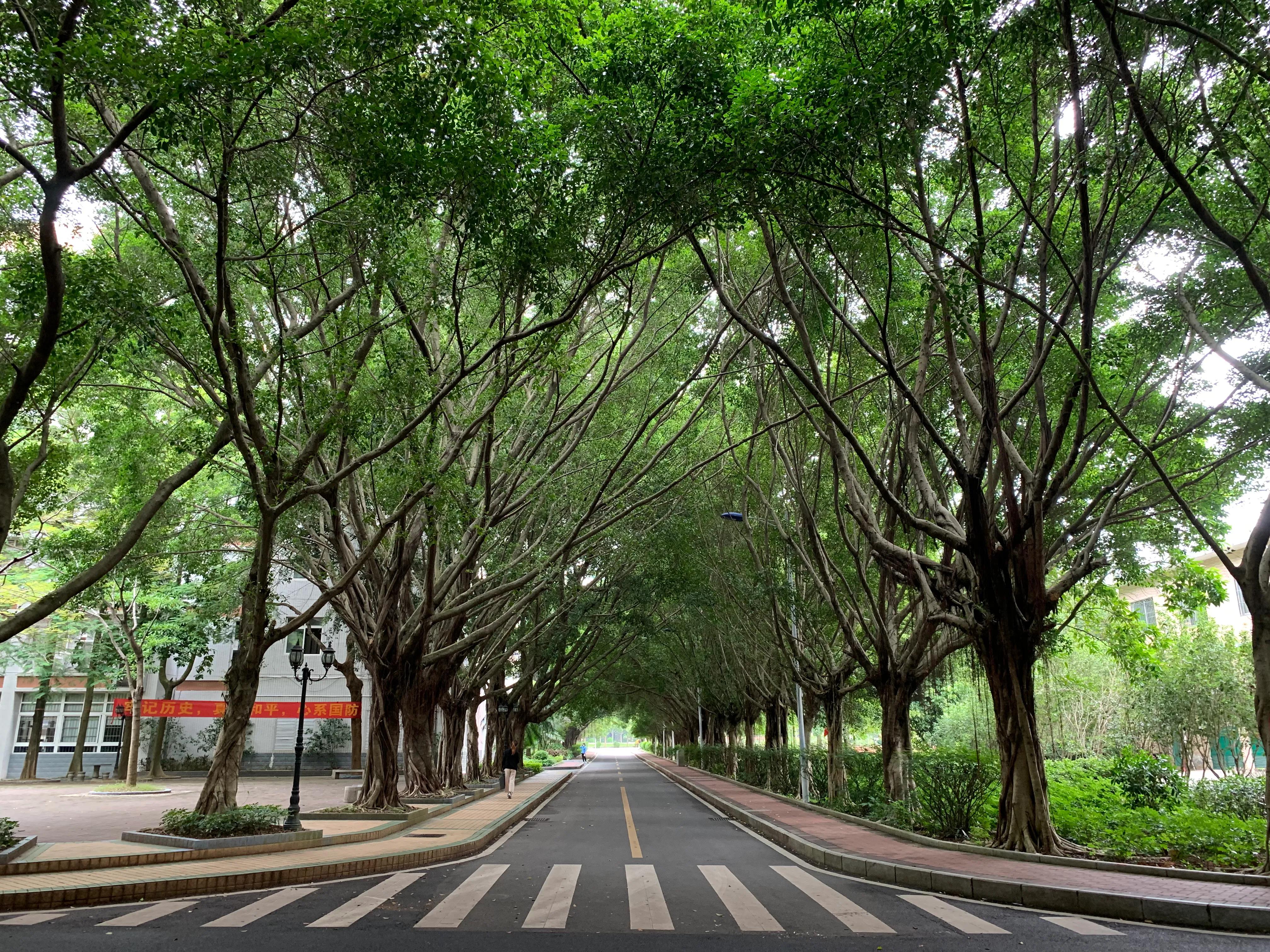 广州城建职业学院校长,广州城建职业学院学历国家承认吗