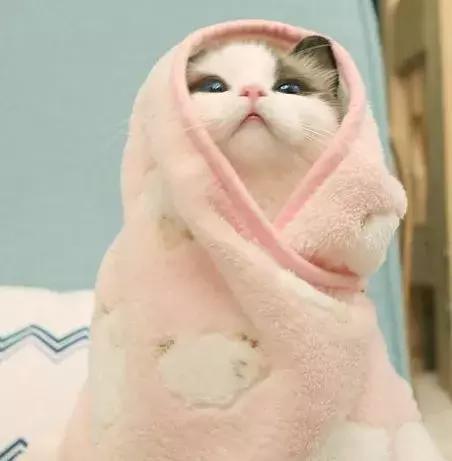 只要不停产就会无限回购的护肤品,只要不断货就一直卖的水乳