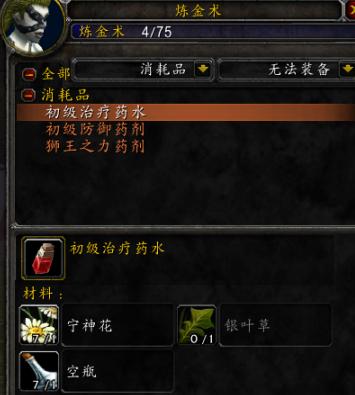 魔兽世界怀旧服各职业升级攻略,魔兽世界怀旧服各职业带什么宝