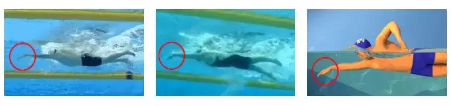 世界知名游泳运动员及世界纪录,中国游泳盘点10大游泳冠军训练