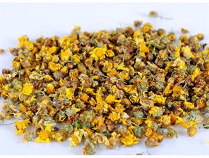野生的山菊花是不是叫野菊花,野生菊花与菊花区别
