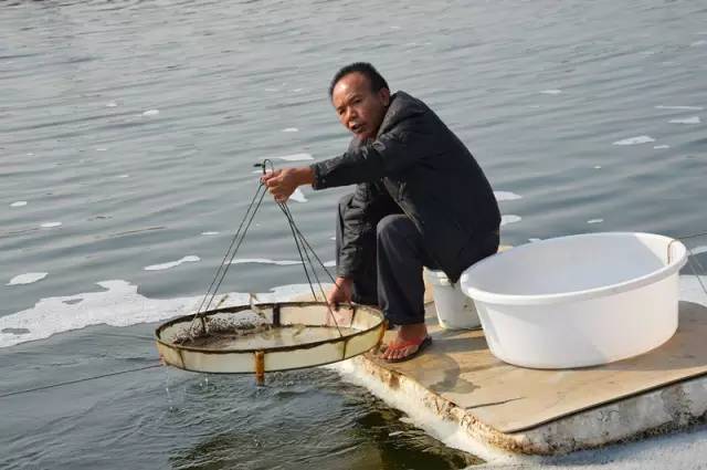 料台的作用有哪些,料台看料时间有什么要求吗