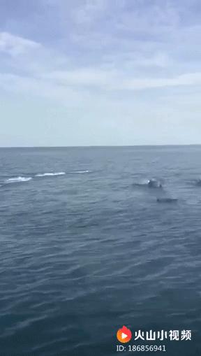 毕业后回家的真实故事,毕业旅行的真实故事