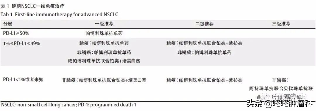 肺癌最好的免疫制剂,非小细胞肺癌的免疫治疗