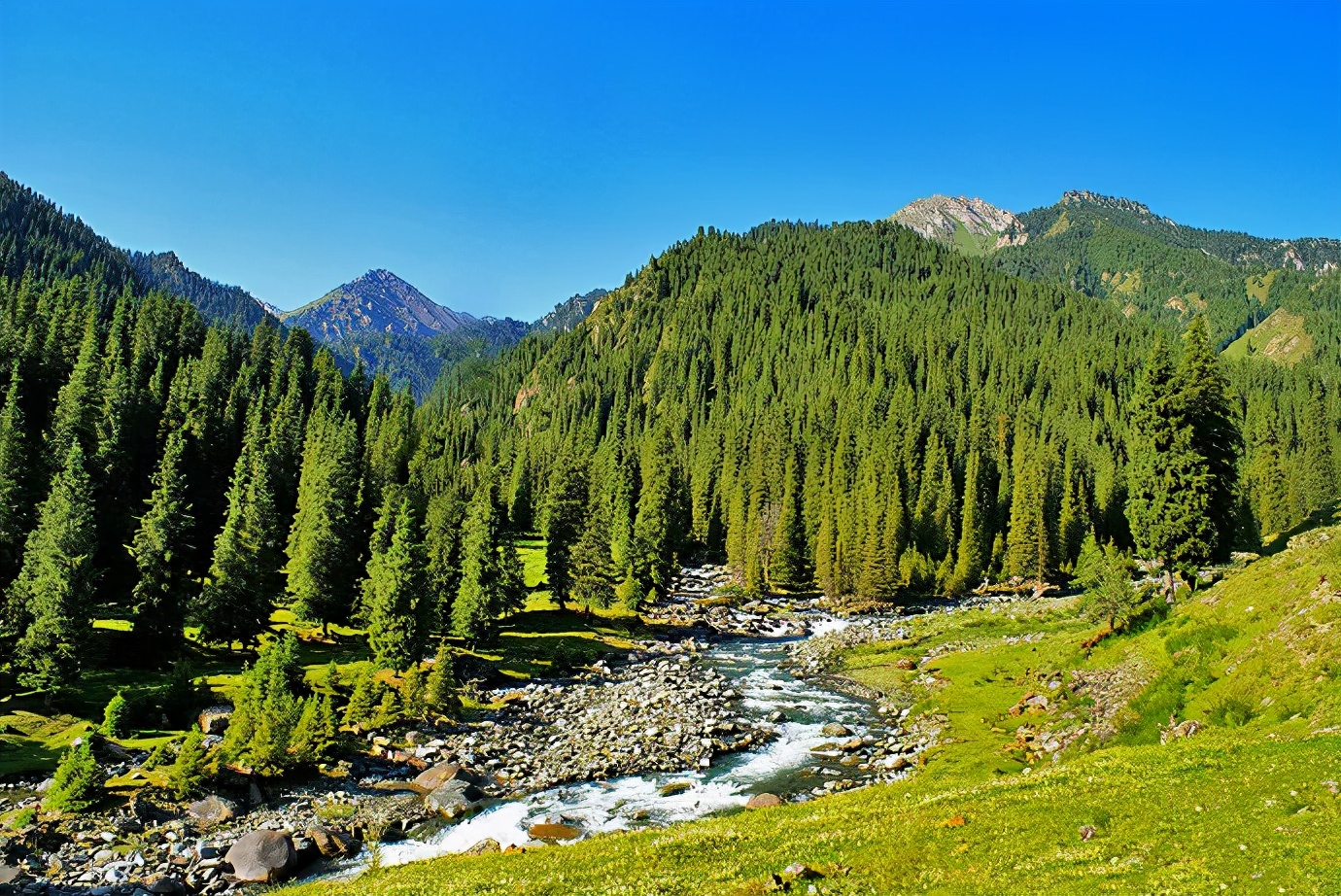 昌吉温泉推荐,打卡昌吉网红森林音乐喷泉