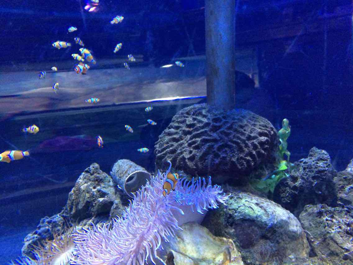 北京工体富国海底世界周一营业,北京工体富国海底世界旅馆