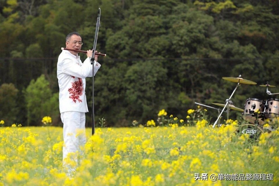 江西婺源油菜花音乐节,婺源油菜花文化节